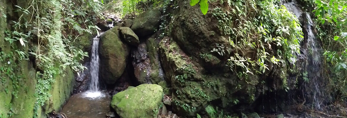 Catarata retocada